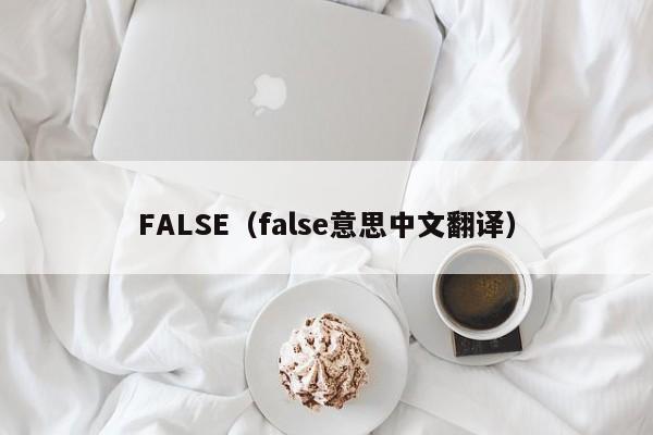 FALSE（false意思中文翻译）