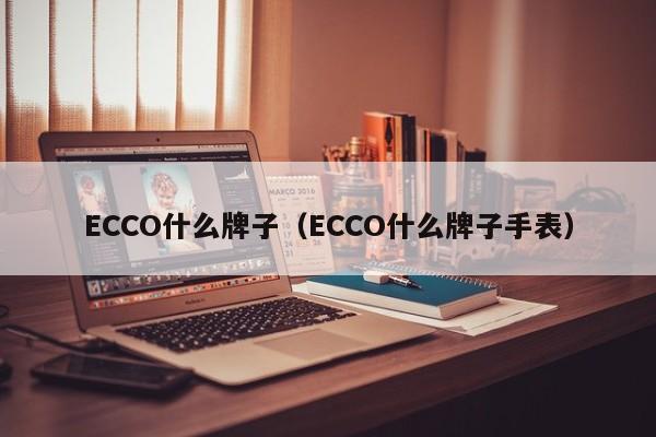 ECCO什么牌子（ECCO什么牌子手表）