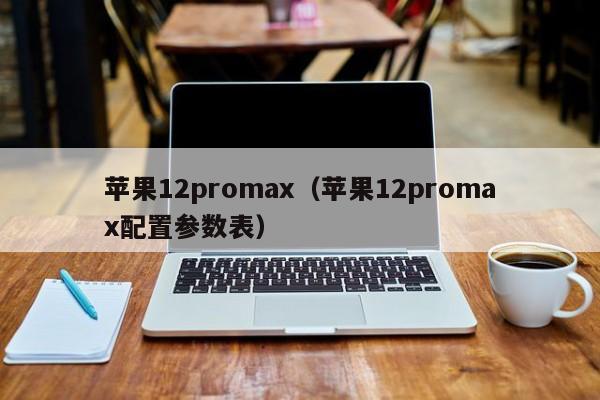 苹果12promax（苹果12promax配置参数表）