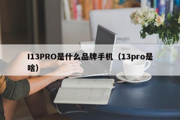 I13PRO是什么品牌手机（13pro是啥）