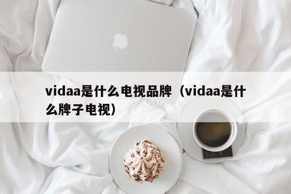 vidaa是什么电视品牌（vidaa是什么牌子电视）