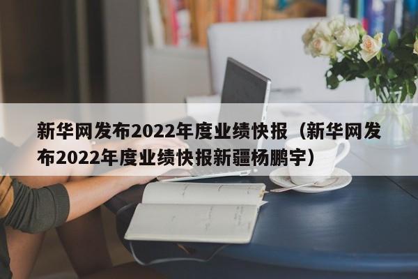 新华网发布2022年度业绩快报（新华网发布2022年度业绩快报新疆杨鹏宇）