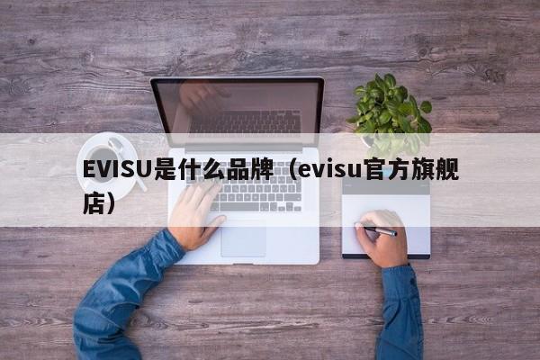 EVISU是什么品牌（evisu官方旗舰店）