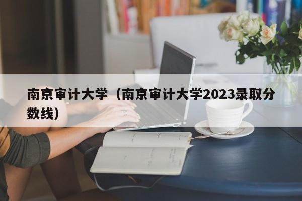 南京审计大学（南京审计大学2023录取分数线）