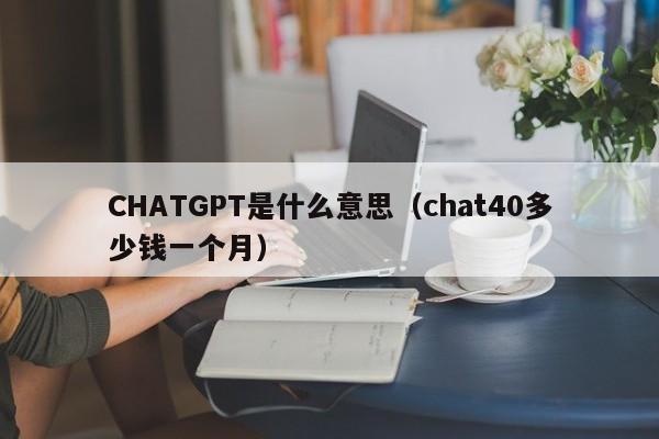 CHATGPT是什么意思（chat40多少钱一个月）