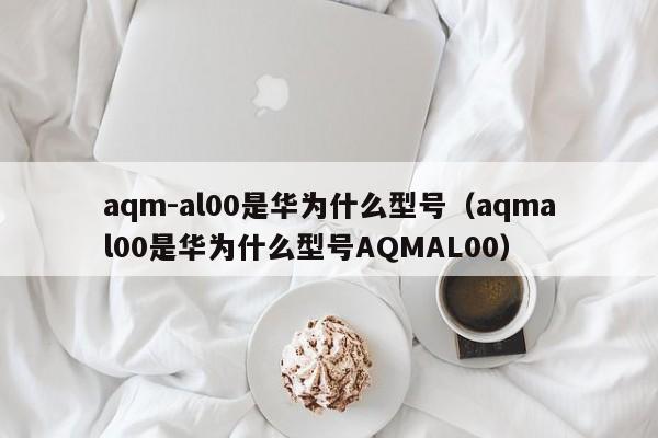 aqm-al00是华为什么型号（aqmal00是华为什么型号AQMAL00）