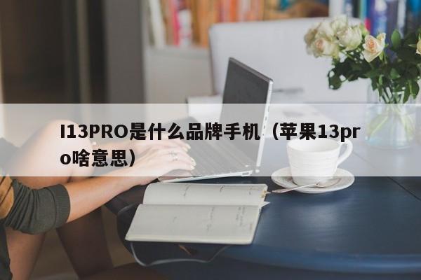 I13PRO是什么品牌手机（苹果13pro啥意思）