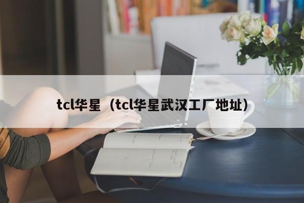 tcl华星（tcl华星武汉工厂地址）