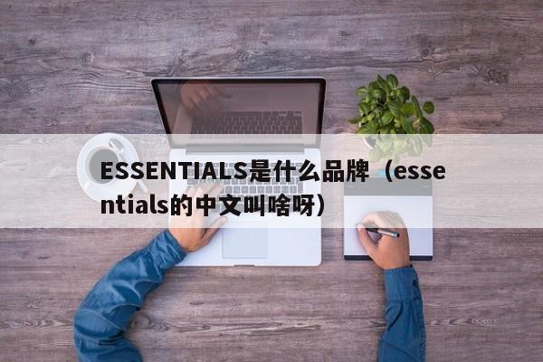 ESSENTIALS是什么品牌（essentials的中文叫啥呀）