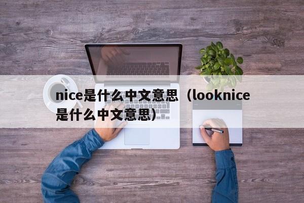 nice是什么中文意思（looknice是什么中文意思）