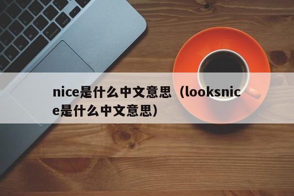 nice是什么中文意思（looksnice是什么中文意思）