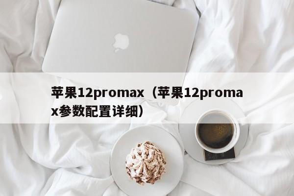 苹果12promax（苹果12promax参数配置详细）