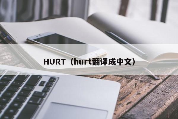 HURT（hurt翻译成中文）