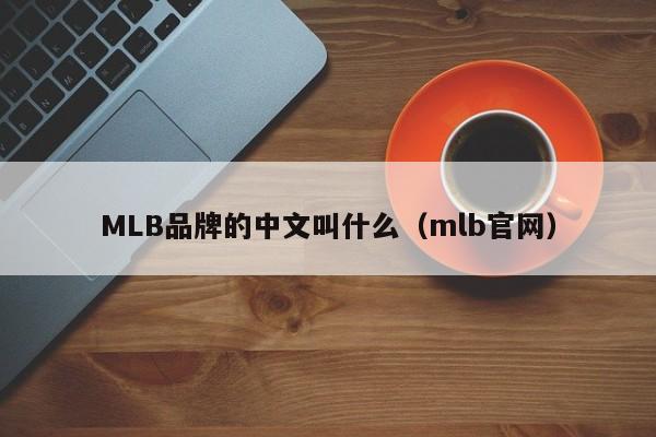MLB品牌的中文叫什么（mlb官网）