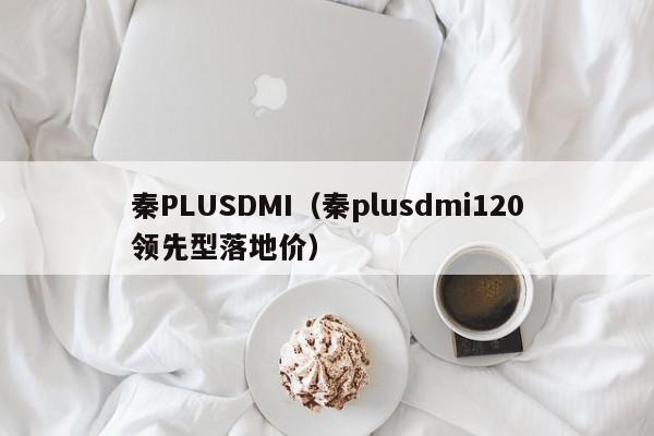秦PLUSDMI（秦plusdmi120领先型落地价）